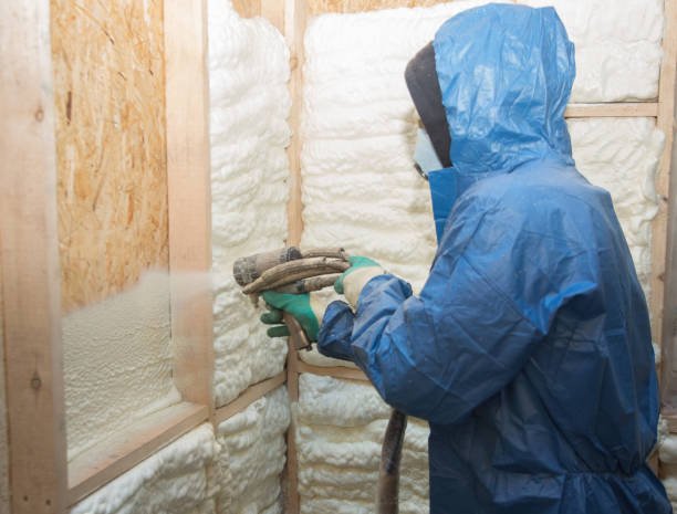 Types of Insulation We Offer in Hollywood Park, TX